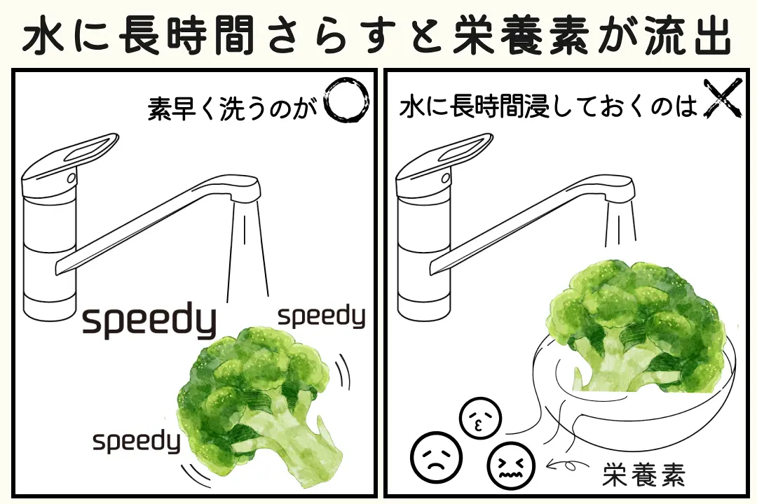 https://images.microcms-assets.io/assets/ecfd0ab9344a4649a74c9e61226041eb/f6b3fe68541e467fb84f45123d33718f/benefits-of-quickly-washing-broccoli1.webp